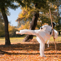 qual-e-a-origem-do-kung-fu