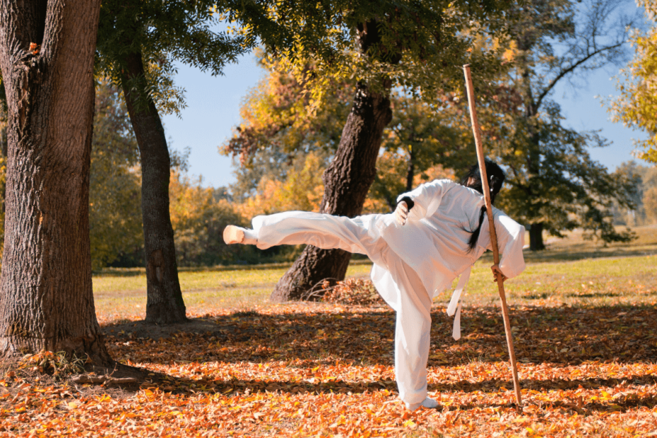 qual-e-a-origem-do-kung-fu